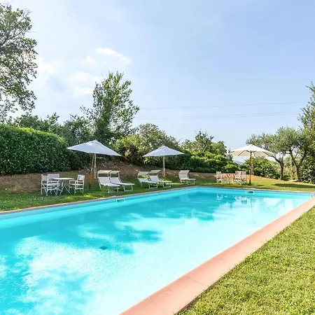 Alabarda Vasciano Nuovo