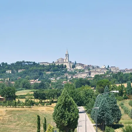 Alabarda * Vasciano Nuovo