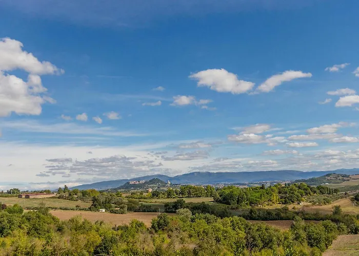 Alabarda Casa de Férias *