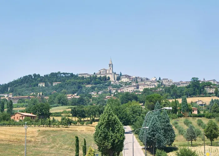 Alabarda * Vasciano Nuovo