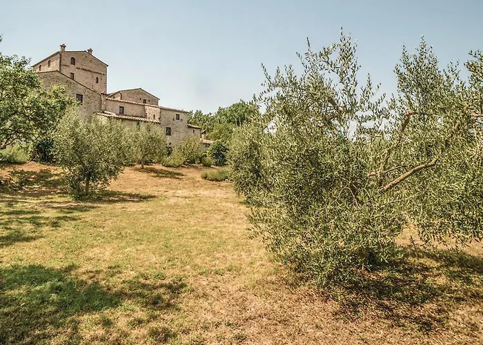 Alabarda Vasciano Nuovo